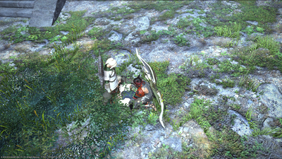 ffxiv_10182013_120854.png