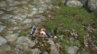 ffxiv_10272013_224530.png
