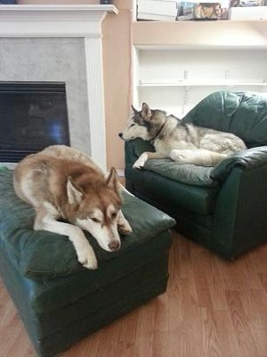 20130609_161228_resized.jpg