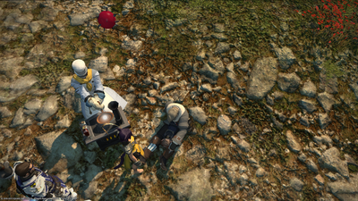 ffxiv_11062013_203009.png