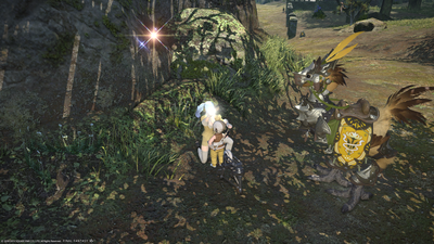 ffxiv_11182013_005737.png