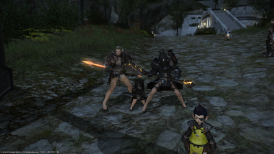 ffxiv_11232013_190654.png