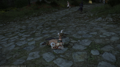 ffxiv_12232013_185915.png