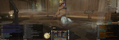 ffxiv-2014-01-22-16-12-41-65.png