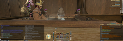 ffxiv-2014-01-22-16-13-29-36.png