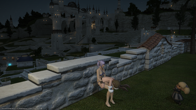 ffxiv_02172014_211952.png