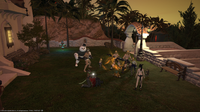 ffxiv_02172014_211235.png