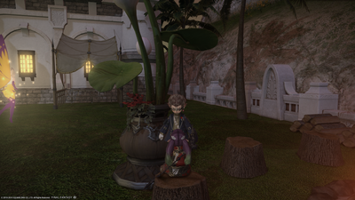 ffxiv_02092014_112331.png