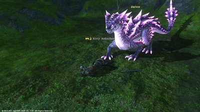 FFXIV_1296614813.jpg