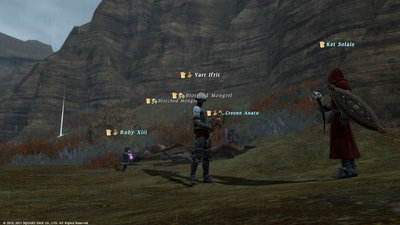 FFXIV_1305243790.jpg