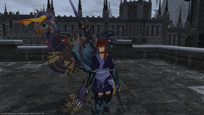 ffxiv_08292014_221608.png