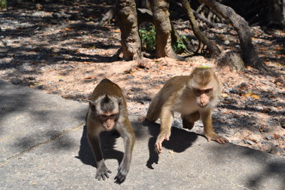 DSC_0067.JPG