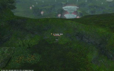 FFXIV_1317083887.jpg