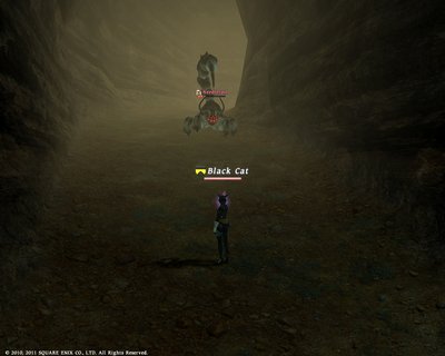 FFXIV_1318319134.jpg