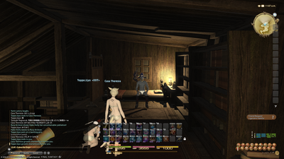 ffxiv_20130713_110618.png