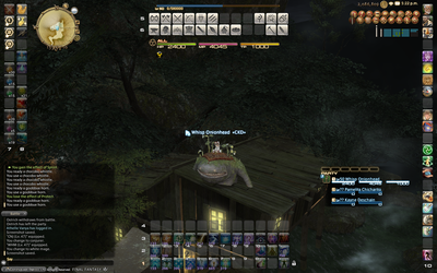 ffxiv_20130714_172209.png