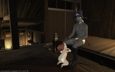ffxiv_20130714_172925.png