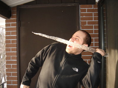 Xmas2010 036.JPG