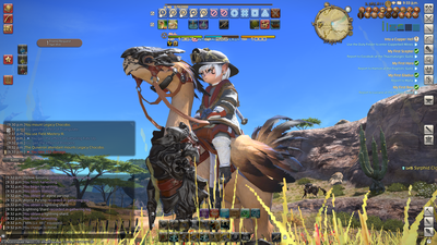 ffxiv_08162013_213317.png