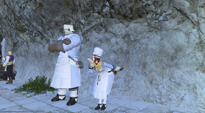 ffxiv_09012013_214839.png