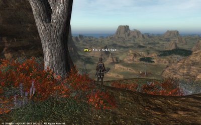 FFXIV_1294605134.jpg