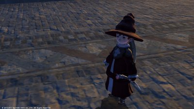 FFXIV_1295825954.jpg