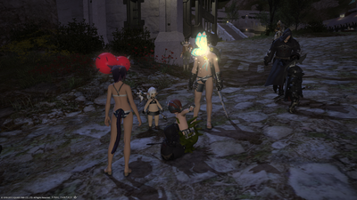 ffxiv_09212013_192225.png