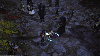 ffxiv_09242013_183149.png