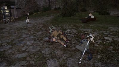 ffxiv_10062013_155403.png